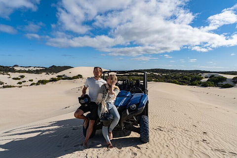 Small-Group Buggy Tour At Little Sahara With Guide - Accommodation Newcastle 2