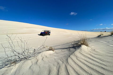 Small-Group Buggy Tour At Little Sahara With Guide - Accommodation Newcastle 3