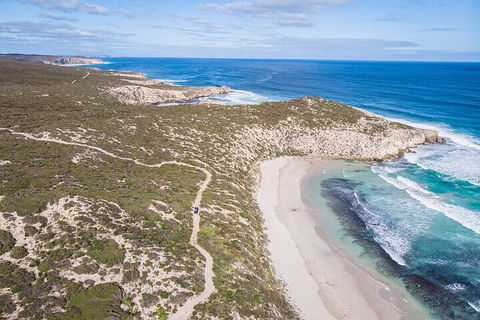 Small-Group Buggy Tour At Little Sahara With Guide - Accommodation Newcastle 4