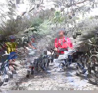 2 Hour Bike Tour in Kangaroo Island - Accommodation Newcastle