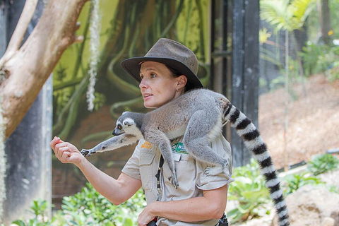 Currumbin Wildlife Sanctuary General Entry Ticket - Accommodation Newcastle 1