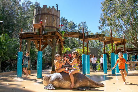 Currumbin Wildlife Sanctuary General Entry Ticket - Accommodation Newcastle 5