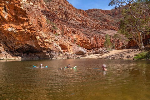 Private 9 Hour Walk And Waterhole Tour In West MacDonnell Ranges - Accommodation Newcastle 2