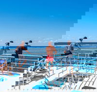 Calypso Outer Great Barrier Reef Cruise from Port Douglas - Accommodation Newcastle