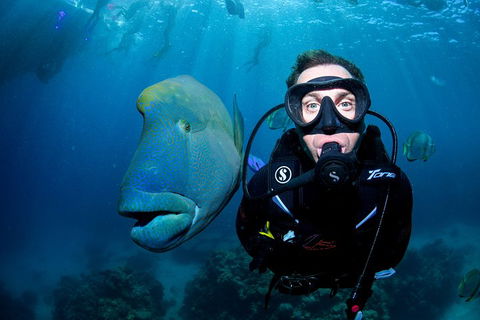 Full Day Reef Cruise Including 10 Minute Heli Scenic Flight: Get High Package - Accommodation Newcastle 1