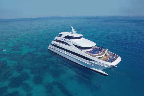Full Day Reef Cruise Including 10 Minute Heli Scenic Flight: Get High Package - Accommodation Newcastle 4