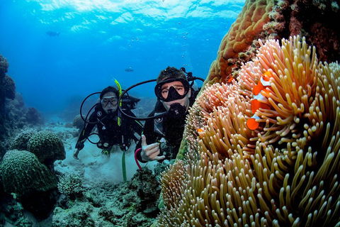 Full Day Reef Cruise Including 10 Minute Heli Scenic Flight: Get High Package - Accommodation Newcastle 5
