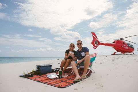 Private Helicopter Tour: Reef Island Snorkeling And Gourmet Picnic Lunch - Accommodation Newcastle 1
