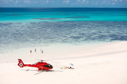 Private Helicopter Tour: Reef Island Snorkeling And Gourmet Picnic Lunch - Accommodation Newcastle 2