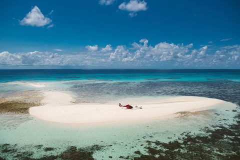 Private Helicopter Tour: Reef Island Snorkeling And Gourmet Picnic Lunch - Accommodation Newcastle 4