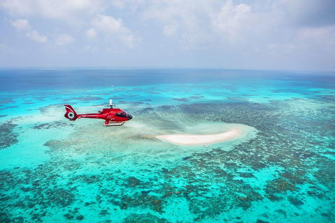 Private Helicopter Tour: Reef Island Snorkeling And Gourmet Picnic Lunch - Accommodation Newcastle 5