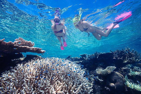 Great Barrier Reef Scenic Helicopter Tour And Cruise From Cairns - Accommodation Newcastle 3