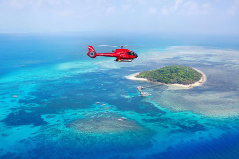 Fly To Green Island - Cruise Return - Accommodation Newcastle 3