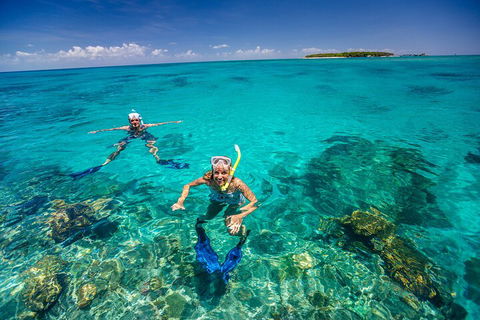 Fly To Green Island - Cruise Return - Accommodation Newcastle 4