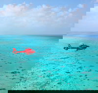 Port Douglas Scenic Flights - Accommodation Newcastle