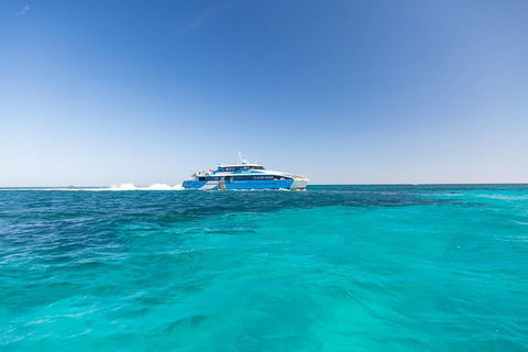Rottnest Island Bike & Ferry Package From Fremantle - Accommodation Newcastle 0