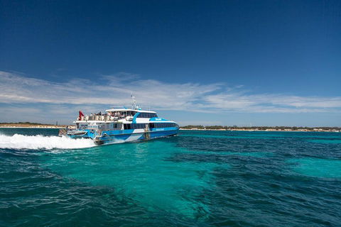 Rottnest Island Bike & Ferry Package From Fremantle - Accommodation Newcastle 4