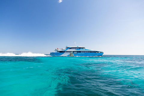 Rottnest Island Bike, Snorkel & Ferry Package From Fremantle - Accommodation Newcastle 0
