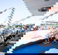 Summer Lunch Cruise - Accommodation Newcastle