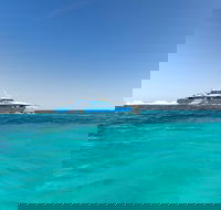 Rottnest Island Bayseeker Day Trip from Perth - Accommodation Newcastle