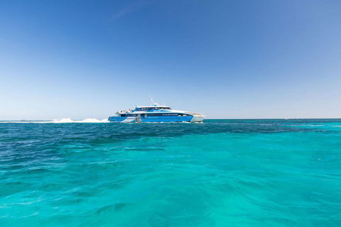 Rottnest Island Bayseeker Day Trip From Perth - Accommodation Newcastle 0