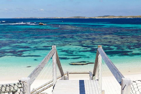 Rottnest Island Bayseeker Day Trip From Perth - Accommodation Newcastle 3
