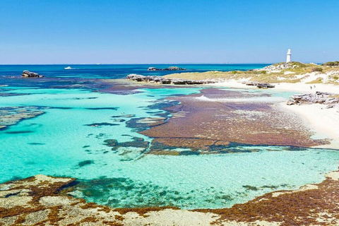 Rottnest Island Bayseeker Day Trip From Perth - Accommodation Newcastle 4