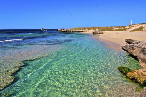 Rottnest Island Bayseeker Day Trip From Perth - Accommodation Newcastle 5