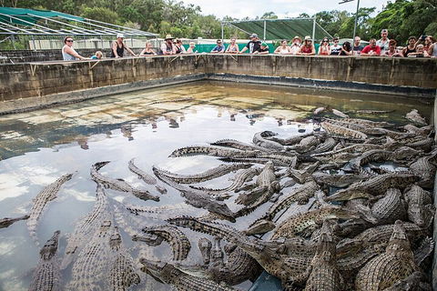 Hartley's Crocodile Adventures Day Trip From Palm Cove - Accommodation Newcastle 0
