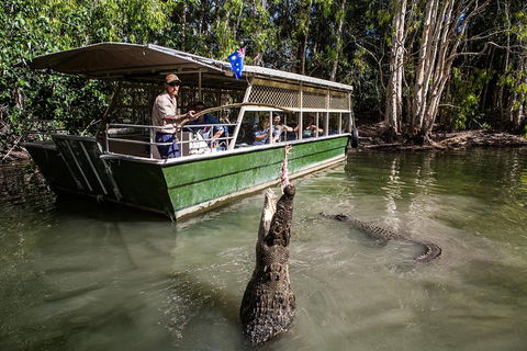 Hartley's Crocodile Adventures Day Trip From Palm Cove - Accommodation Newcastle 2