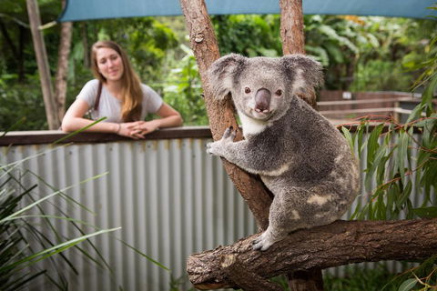 Hartley's Crocodile Adventures Day Trip From Palm Cove - Accommodation Newcastle 5