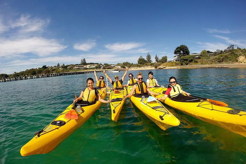 Mornington Peninsula Kayak Coastline Tour Of Dolphin Sanctuary - Accommodation Newcastle 2