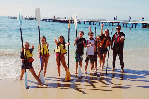 Mornington Peninsula Kayak Coastline Tour Of Dolphin Sanctuary - Accommodation Newcastle 3