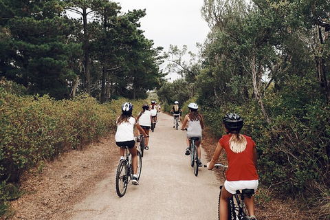 Self-Guided Point Nepean National Park Bike Hire - Accommodation Newcastle 3