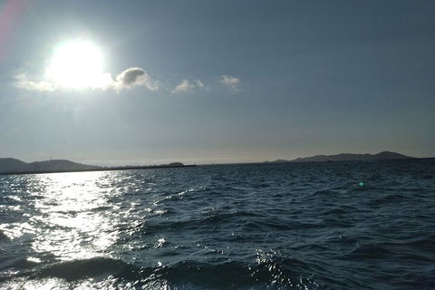 Townsville Small Group Early Morning Sailing Cruise Boat Tour Charter Hire - Accommodation Newcastle 4
