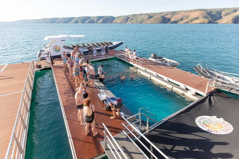 Horizontal Falls Half-Day Tour From Broome - Accommodation Newcastle 3