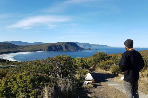 4-Day Fabulous Tasmania Tour: Wineglass Bay, Port Arthur, Devils & Bruny Island - Accommodation Newcastle 0