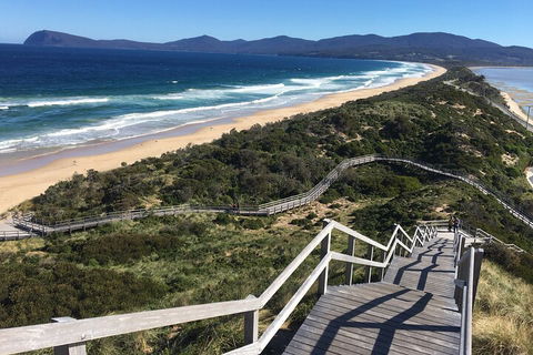 4-Day Fabulous Tasmania Tour: Wineglass Bay, Port Arthur, Devils & Bruny Island - Accommodation Newcastle 5