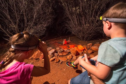 Alice Springs Desert Park Nocturnal Tour - Accommodation Newcastle 4