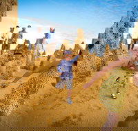 Full-Day Pinnacles Desert and Yanchep National Park Tour From Perth - Accommodation Newcastle