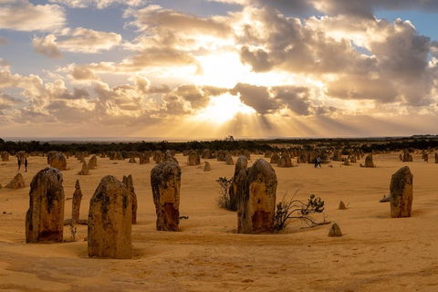 Half Day Pinnacles Sunset Tour - Accommodation Newcastle 0