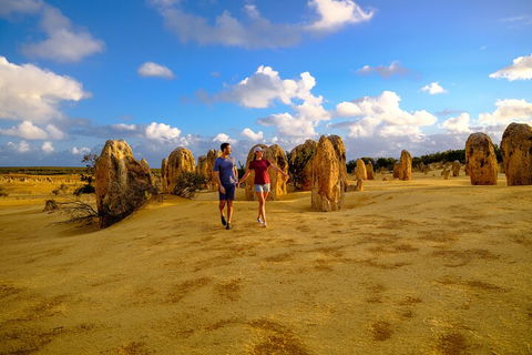 Half Day Pinnacles Sunset Tour - Accommodation Newcastle 1