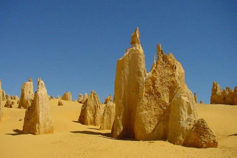 Half Day Pinnacles Sunset Tour - Accommodation Newcastle 2