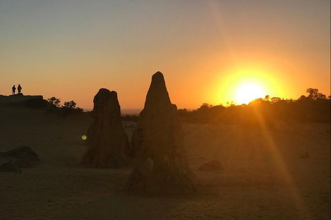 Half Day Pinnacles Sunset Tour - Accommodation Newcastle 3