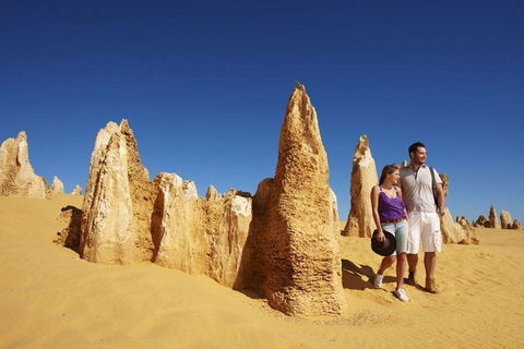 Half Day Pinnacles Sunset Tour - Accommodation Newcastle 4