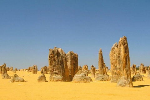 Half Day Pinnacles Sunset Tour - Accommodation Newcastle 5