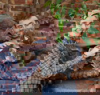 Private Tour Blue Mountains Day Trip from Sydney - Accommodation Newcastle