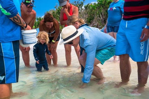 Whitehaven Beach And Hamilton Island Cruise - Accommodation Newcastle 1