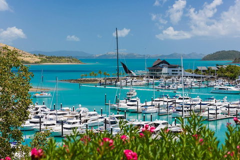 Whitehaven Beach And Hamilton Island Cruise - Accommodation Newcastle 3