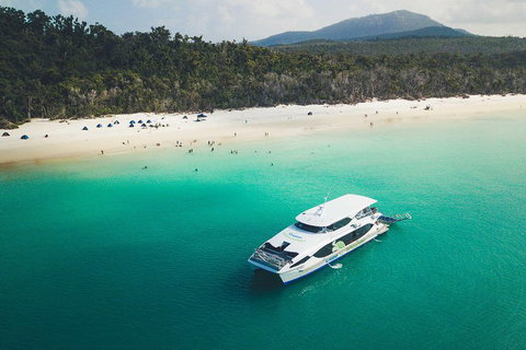 Whitehaven Beach Half-Day Cruises - Accommodation Newcastle 2